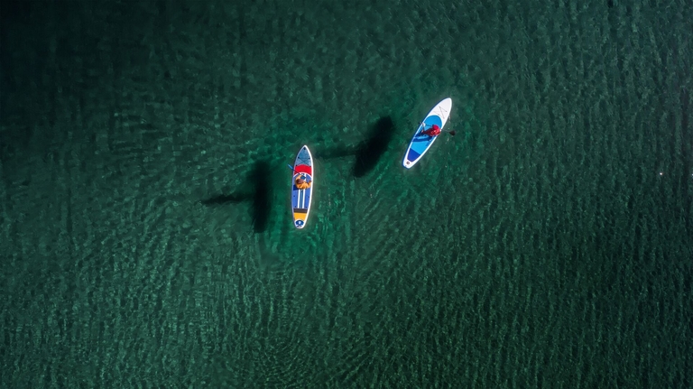 Aerial view of people on paddle boards on calm water, paddlesports concept. 