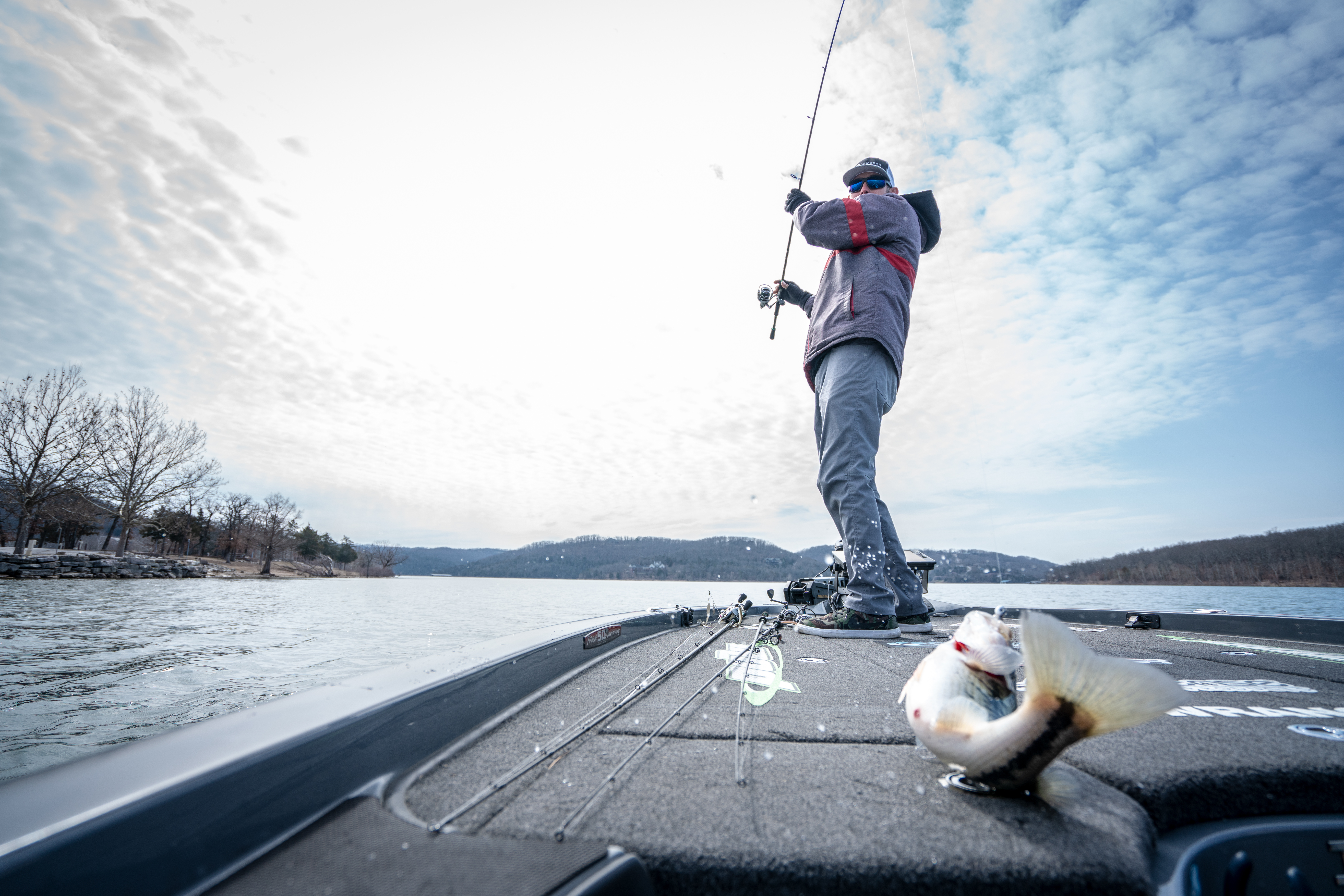 An angler reels a fish in on a boat, bass fishing concept. 