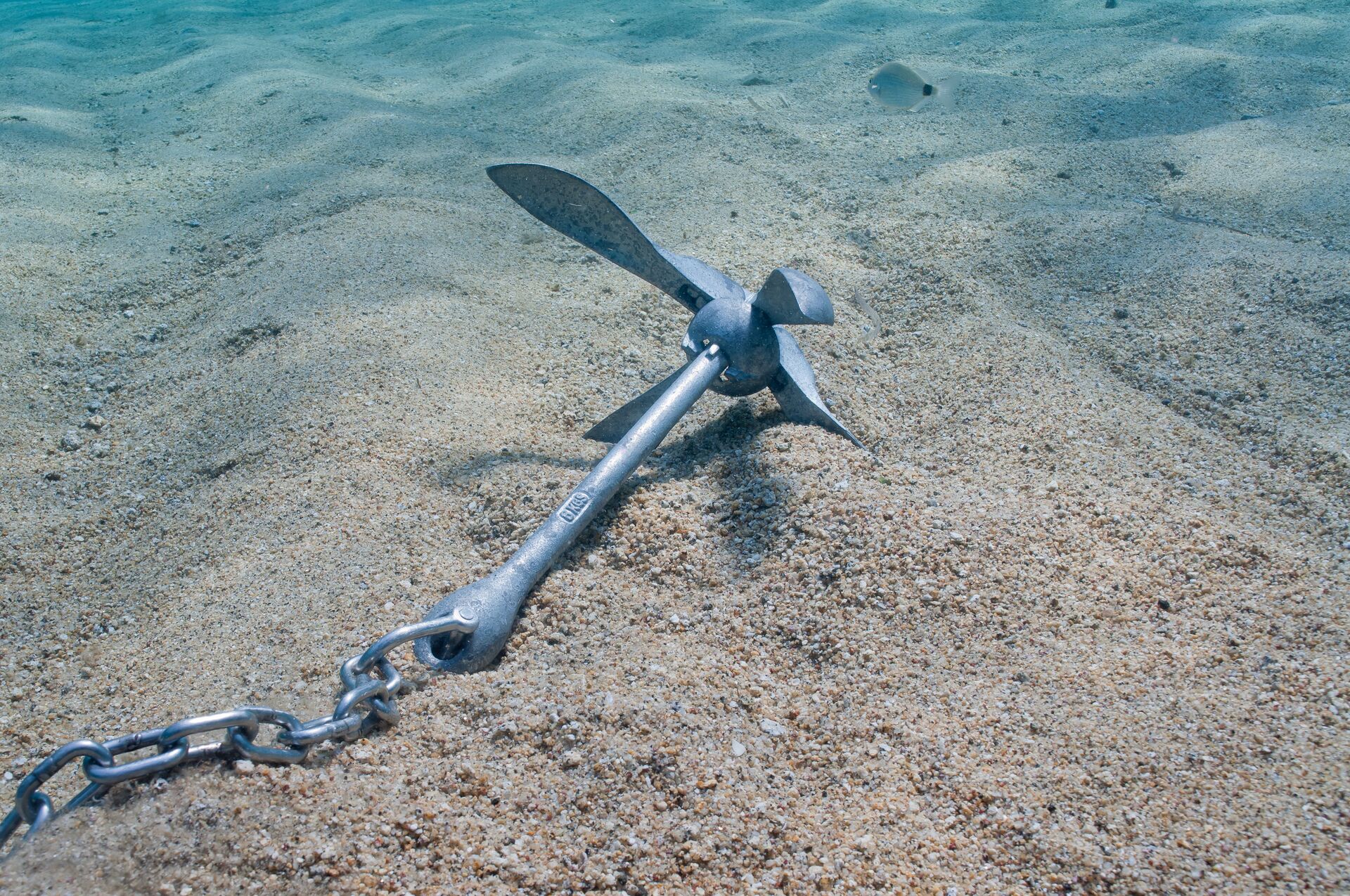 A boat anchor under water.