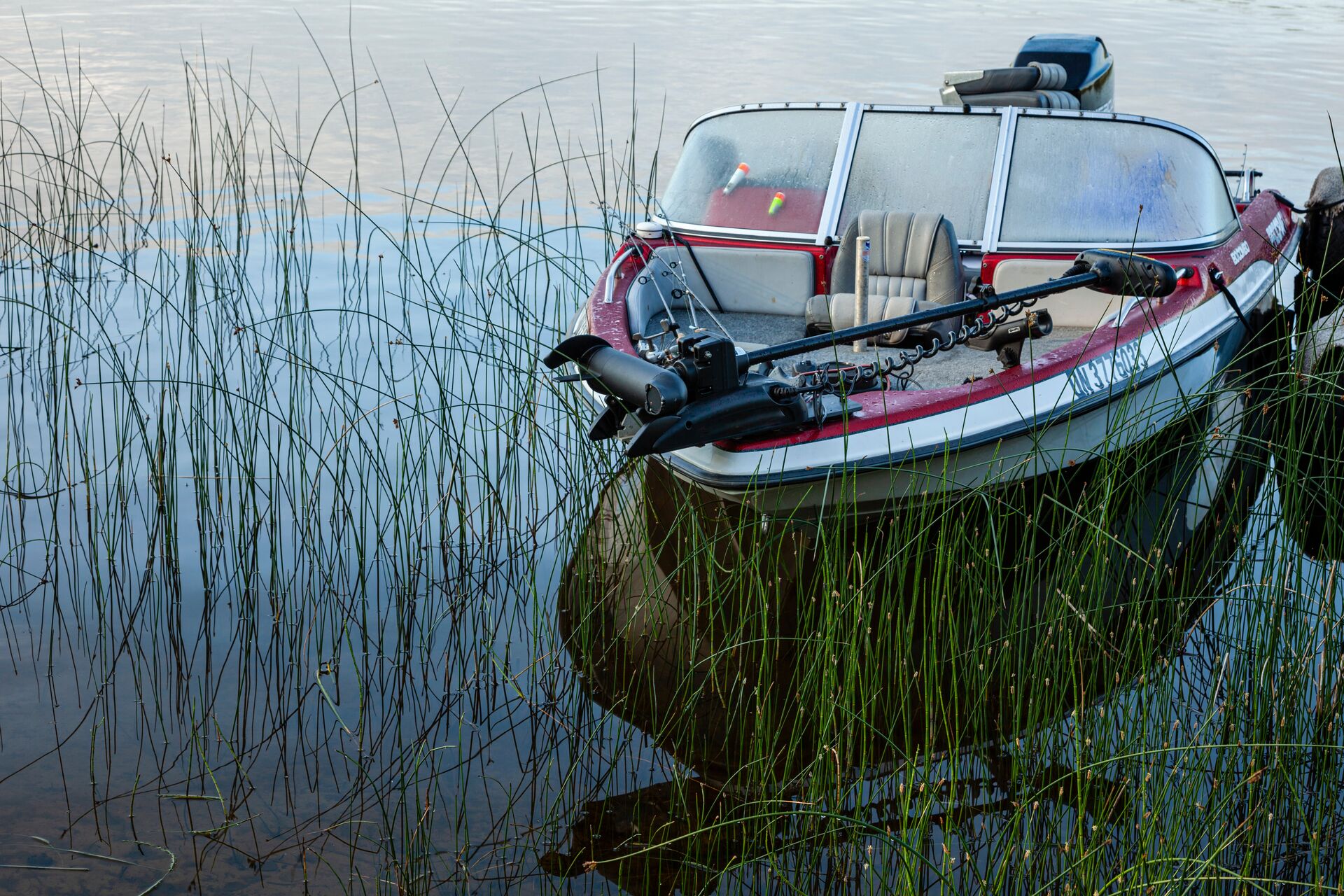 A trolling motor on a boat at the shore. 