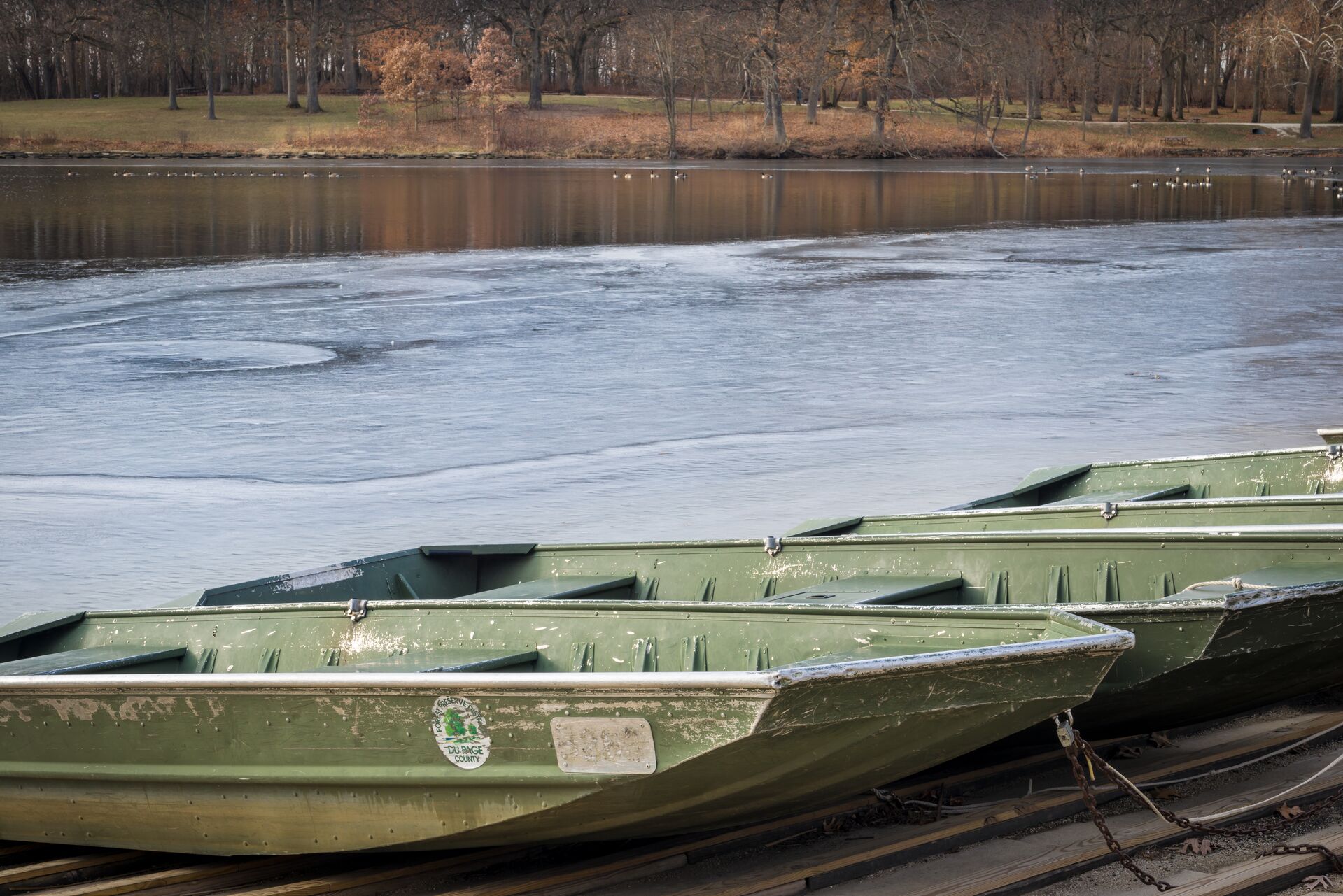 Several flat bottom boats at the shore. 